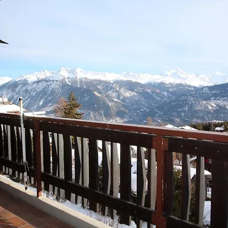 Mandarin A11 Apartment *